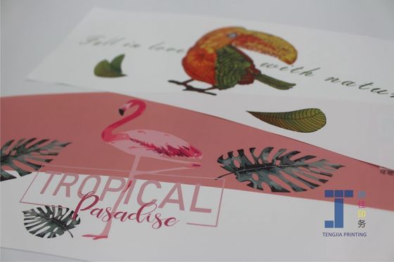 Dijital baskı IML Plastik sepet için kalıp etiketleri Meyve sepet büyük boyutlu